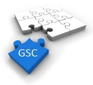 services puzzle (GSC)
